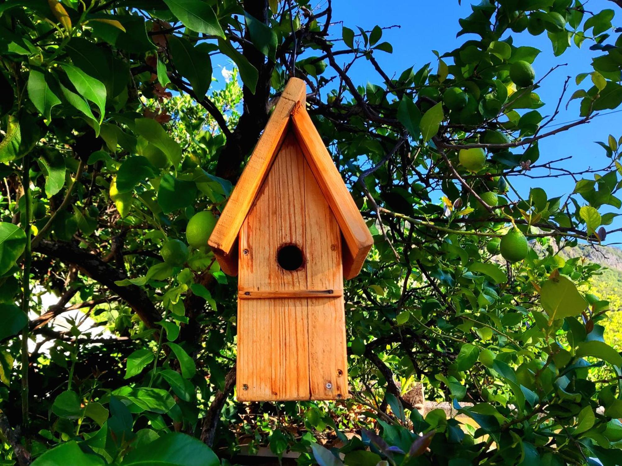 La Casa Del Naturalista البوسكي المظهر الخارجي الصورة